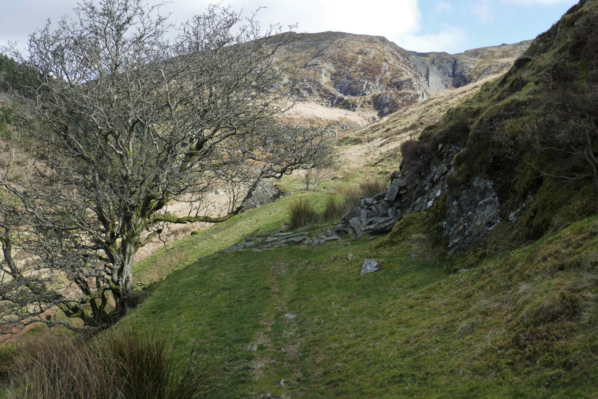 RachelSeabrook.net | Wild Walking | Cwm Cyneiniog and Craig y Pistyll | pic09